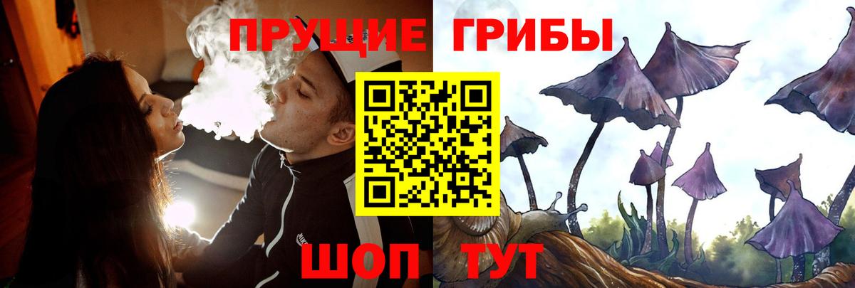 Псилоцибиновые грибы Psilocybe Гусь-Хрустальный
