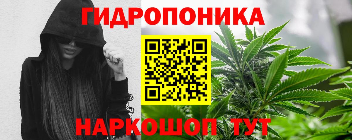 Бошки Шишки тримм  Вход с VPN  Гусь-Хрустальный  Канабис семена 